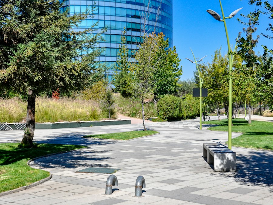A commercial plaza with paved walkways, benches and ornamental grasses