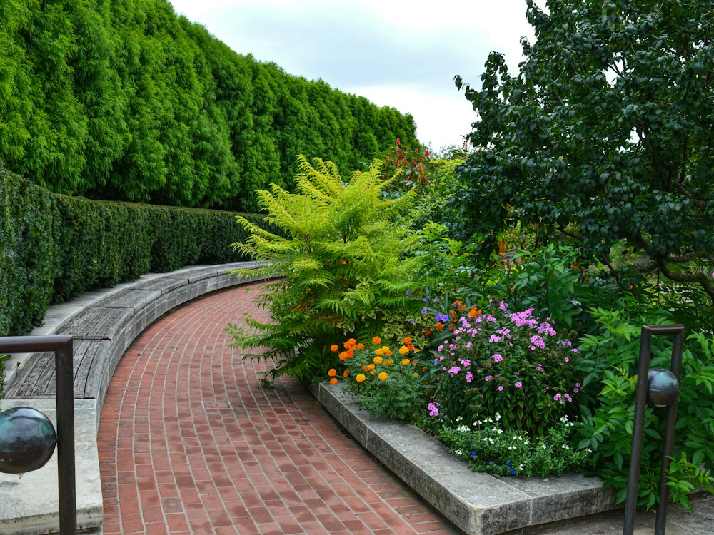 A commercial walkway lined with maintained planting beds and hedges